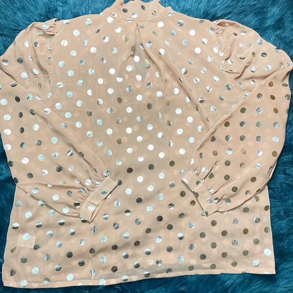 Mauve/Silver Sheer Long Sleeve Polka Dot Neck Tie Blouse - Picture 13 of 15